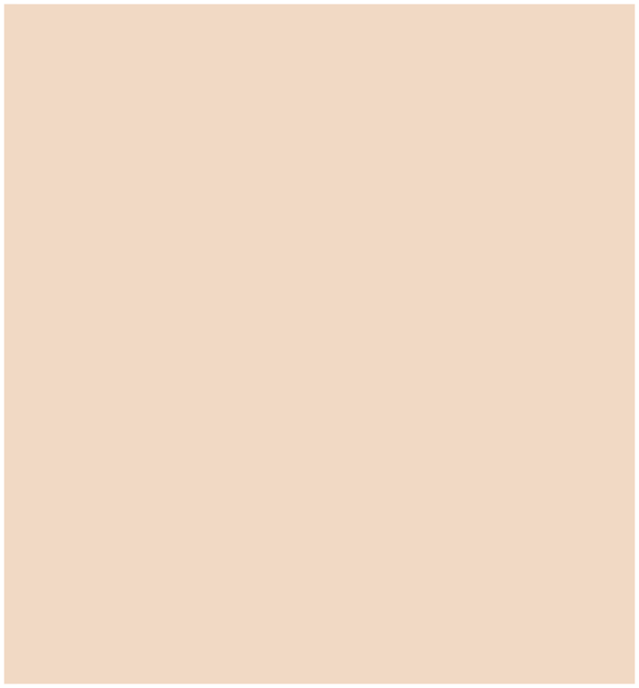 Phototype I