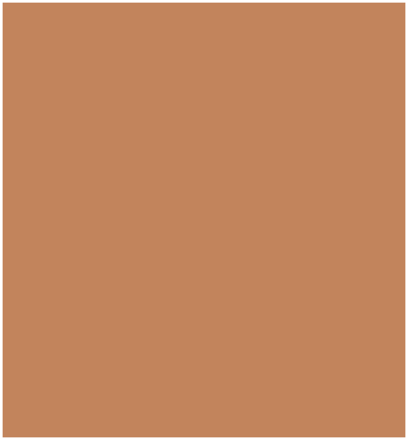Phototype IV