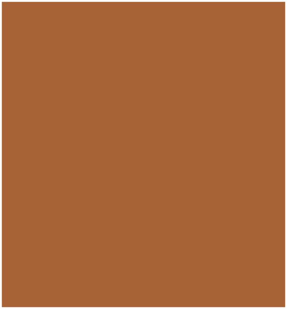 Type V