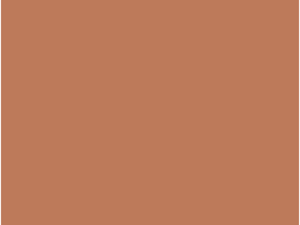 Phototype V